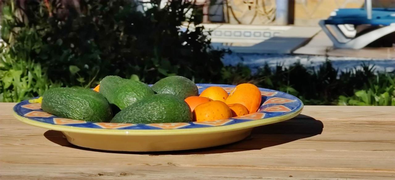 Campo Agave B&B Саялонга Экстерьер фото