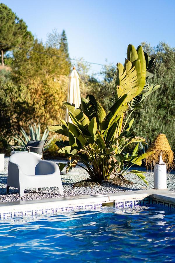 Campo Agave B&B Саялонга Экстерьер фото